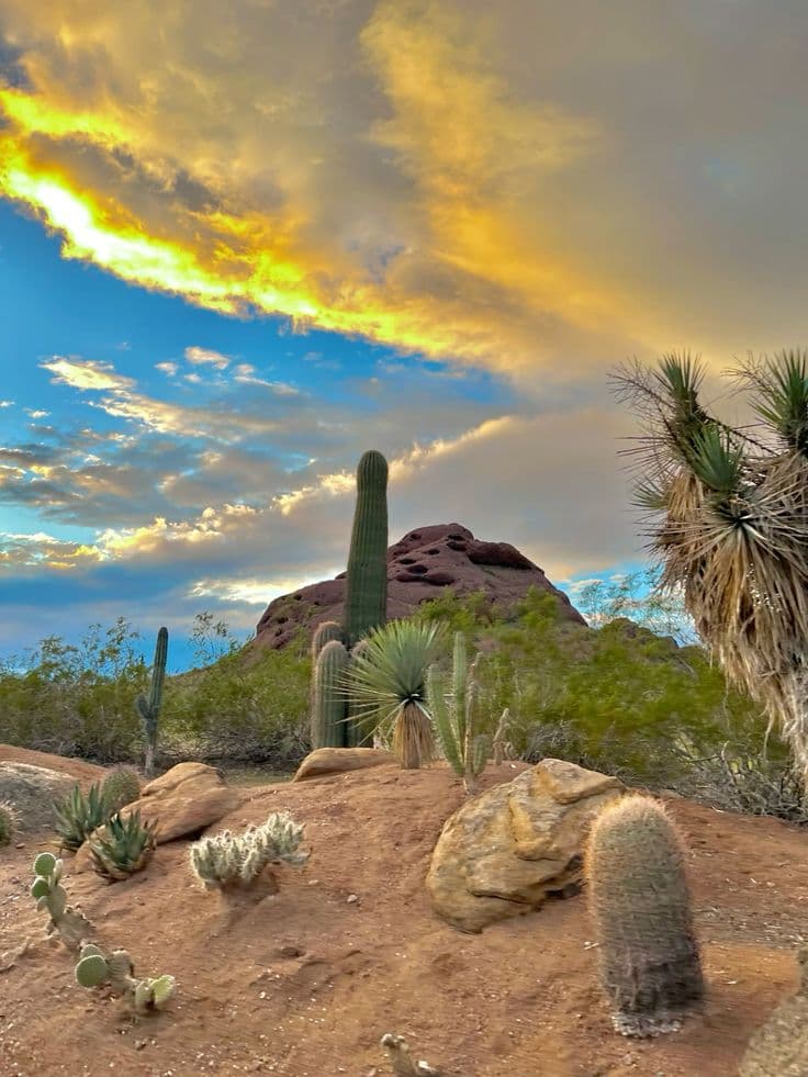 Flights to Phoenix, Arizona