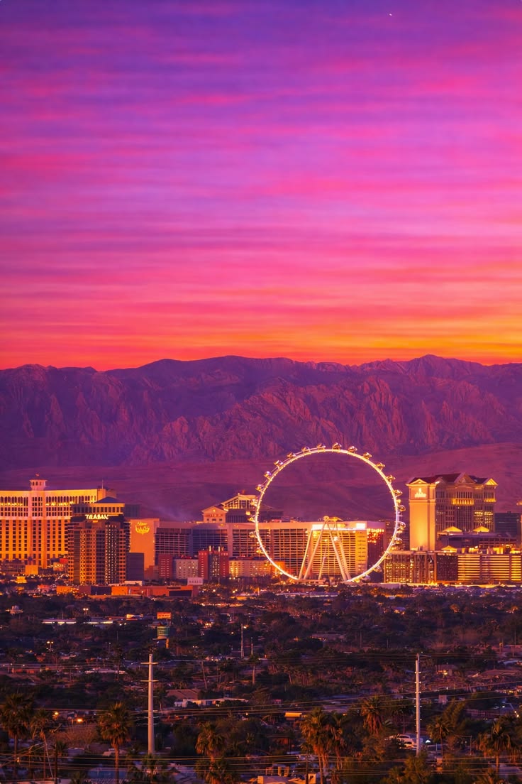 High Roller & Skyline Views