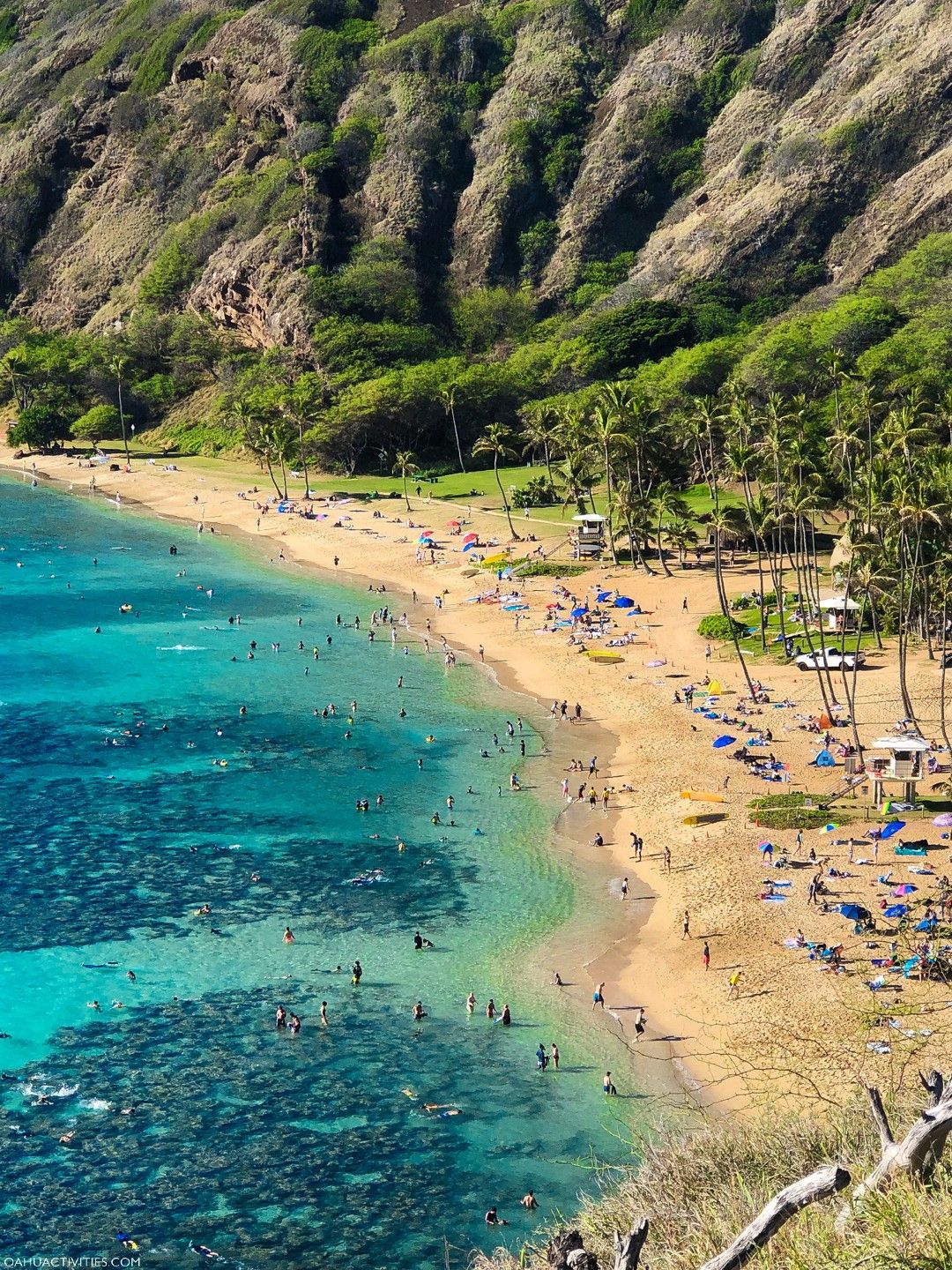 Hanauma Bay & Coastal Experiences