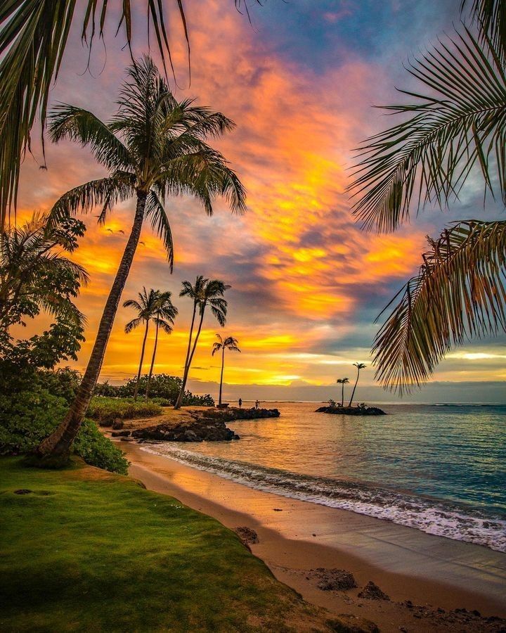 Beach vacations