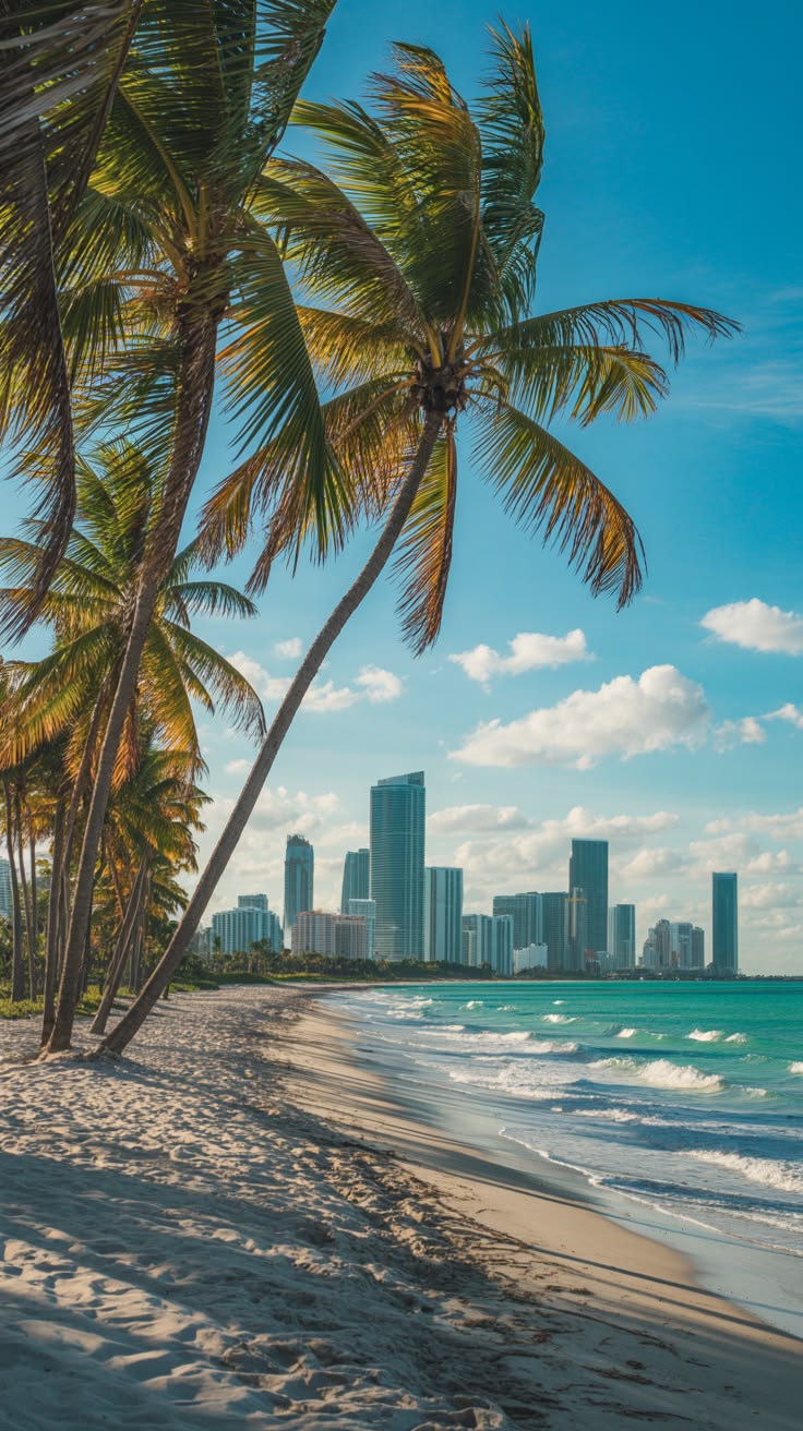 Miami beach and skyline travel destination view