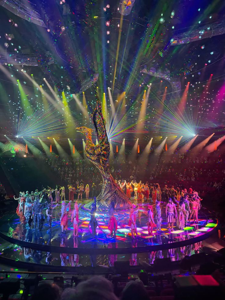 Live shows and concerts